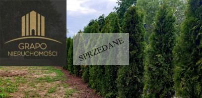 Dom Sprzedaż Szczytniki Choinkowa