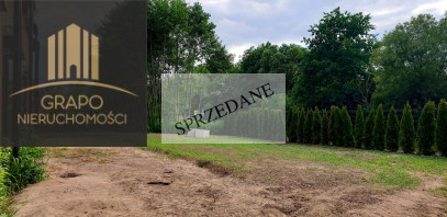 Dom Sprzedaż Szczytniki Choinkowa